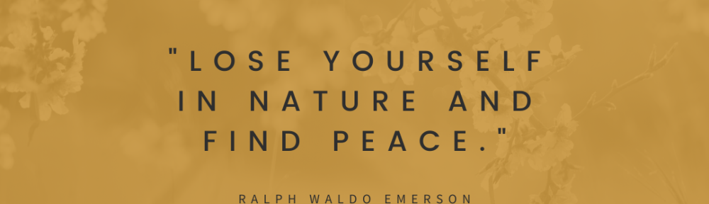 DNU - Learning to Be Branded Post CANVA (1)