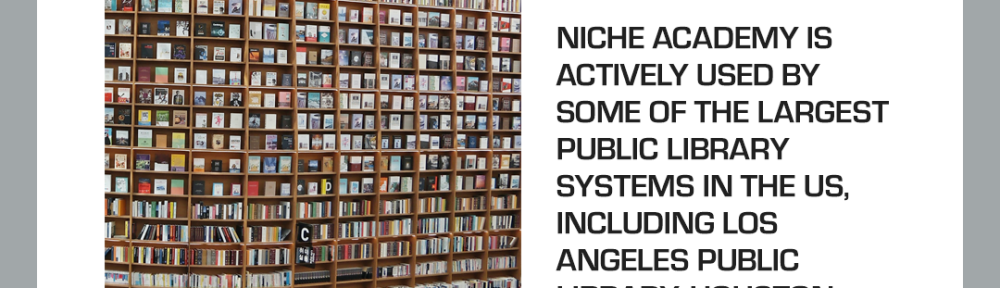 DNU-Niche-Pixabay
