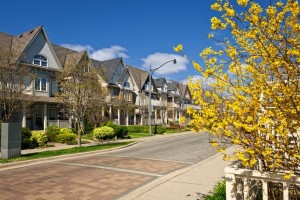 19655032 - row of houses on spring street in toronto canada