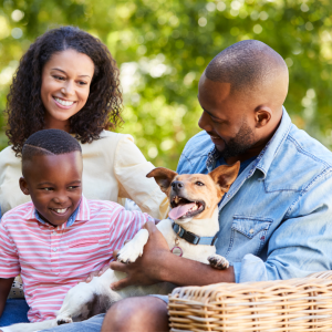 Are pet owners more successful? 