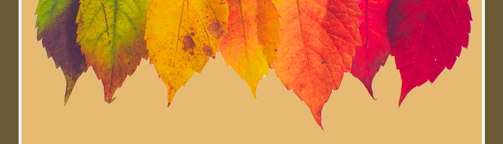 DNU-QuestCrypto-Unsplash