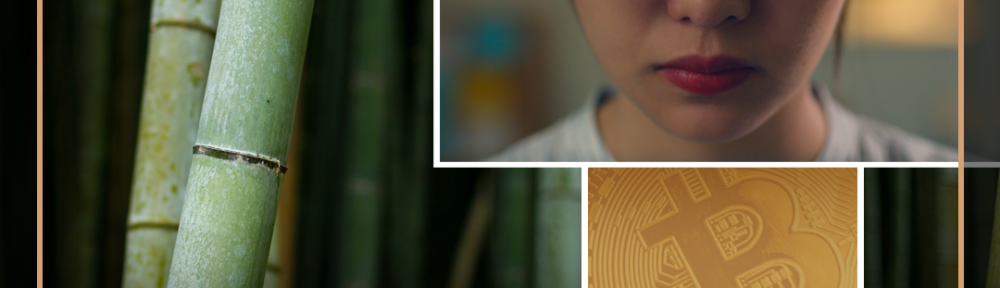 DNU-QuestCrypto-Unsplash-Pexels