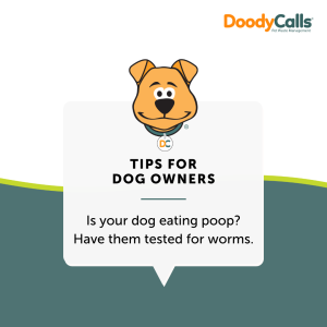 Stop those poop eating escapades