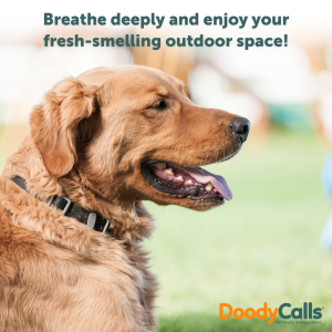 Breathe deeply and enjoy the fresh smell