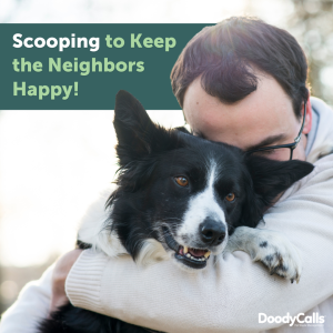 What makes good neighbors