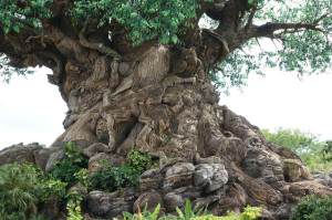 he Tree of Life at Animal Kingdom at  Walt Disney World  in Orla