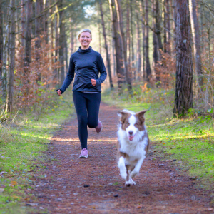 An exercise routine for dogs