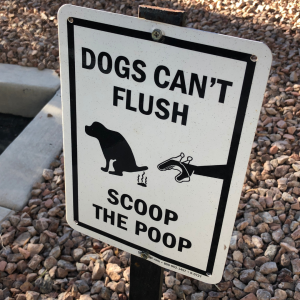 Pet waste removal is important 