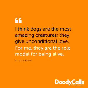 The unconditional love of a dog