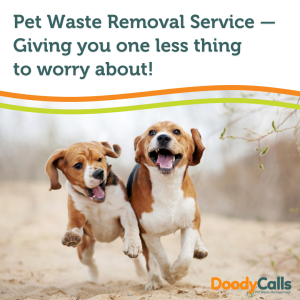 Offering pet waste removal service