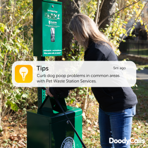 A quick solution for dog poop problems