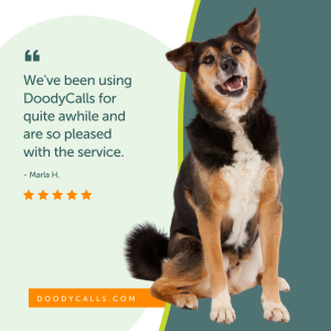 Trusted pet waste removal services 