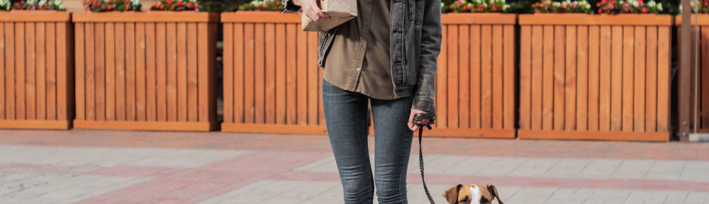 Young pretty woman with dog holds paper bag of groceries in fron