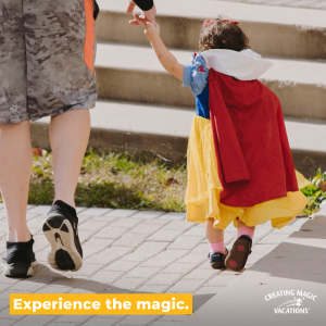 Experience the magic