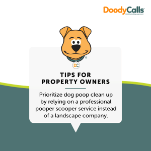 Make scooping the poop a top priority