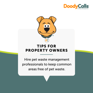 Keep common areas clean with pet waste management services