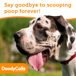 Say goodbye to scooping poop