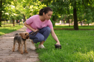 Dog waste bags