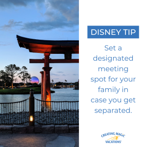 Set a designated meeting spot for your family in case you get separated