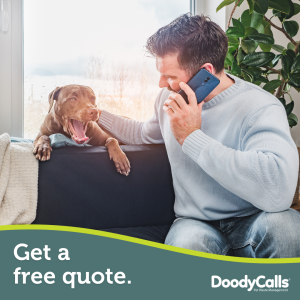 Get your free quote today!