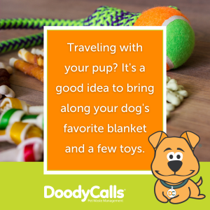 A quick trip for traveling with your dog