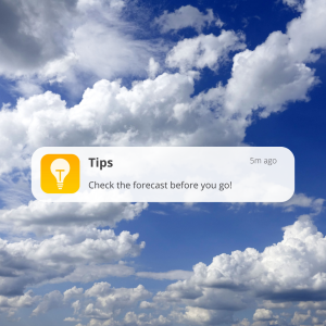 Check the forecast before you travel