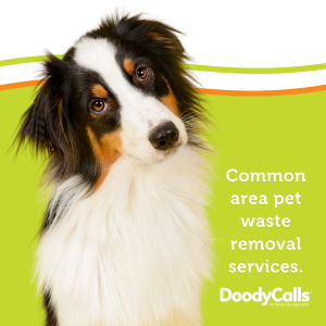 Pet waste removal services for common areas