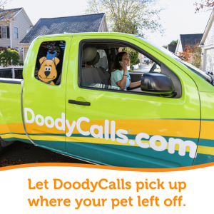 We'll pick up where your pet left off