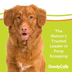 We're a trusted leader in poop scooping 