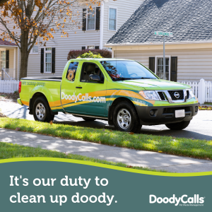 We clean up doody