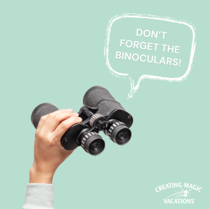 Don’t forget the binoculars for prime glacier-watching