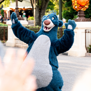 Who is Baloo?