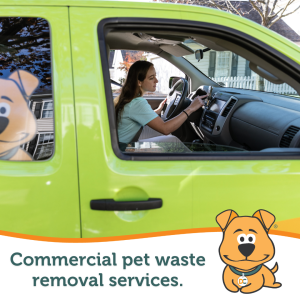 Professional commercial pet waste removal services