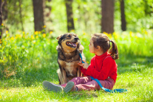 Pet waste isn’t the best fertilizer