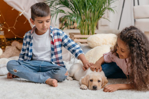 kids playing with cute labrador puppy at home