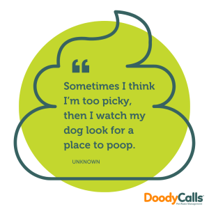 Dogs are picky poopers 