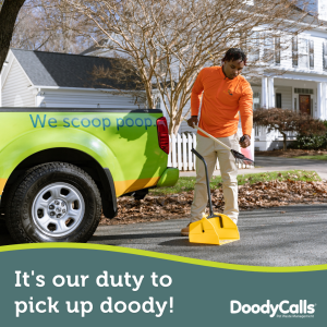 Dog poop removal services