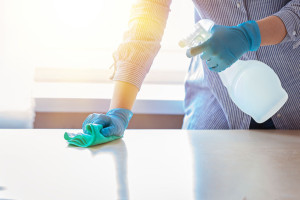 Woman in protective gloves wiping dust using a spray and a duster while cleaning her house.