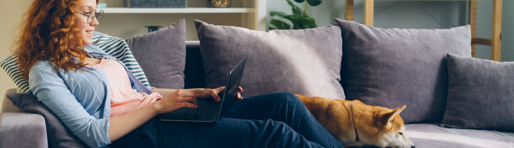 Happy student using laptop sitting on couch with shiba inu dog in apartment