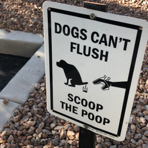 Addressing the dog poop issue with residents