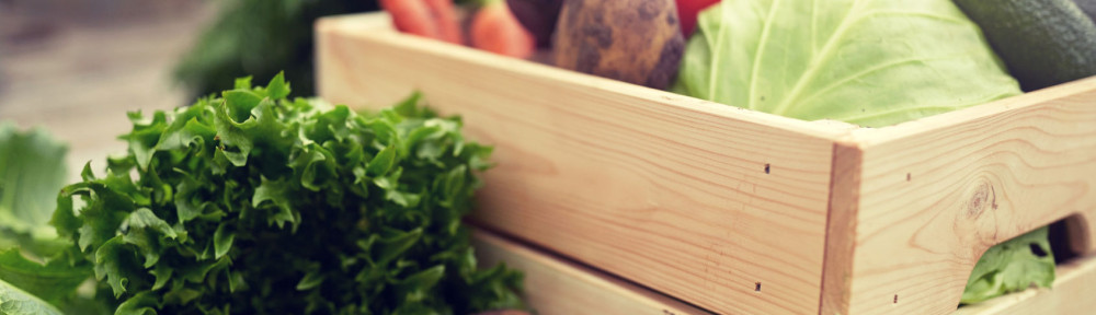 close up of vegetables on farm