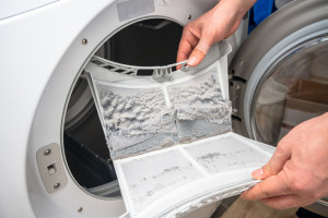 Dust and dirt trapped by the clothes dryer filter.