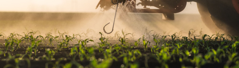 Tractor spraying corn field in sunset