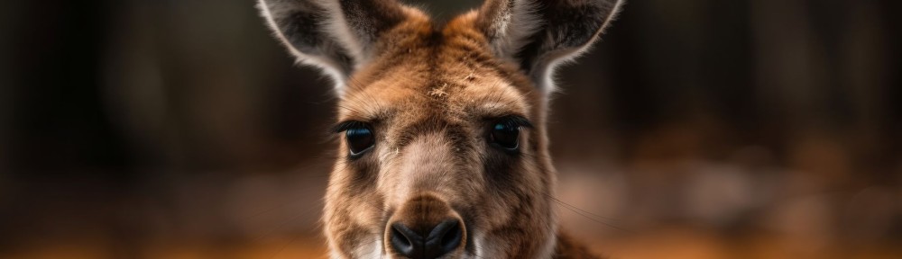 Kangaroo at a meadow. Generative AI