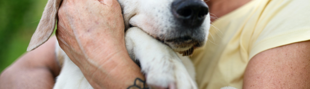 DNU - DoodyCalls Franchise Content UNSPLASH