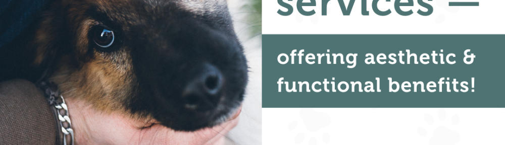 DNU - DoodyCalls Franchise Content CANVA (16)