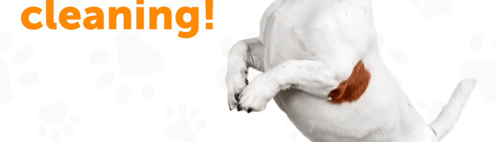 DNU - DoodyCalls Franchise Content CANVA (25)