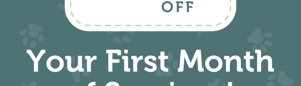 DNU - DoodyCalls Franchise Content CANVA (4)