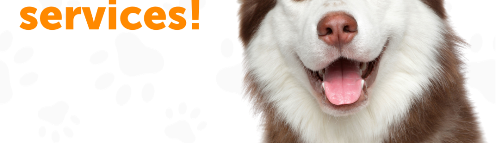 DNU - DoodyCalls Franchise Content CANVA (9)