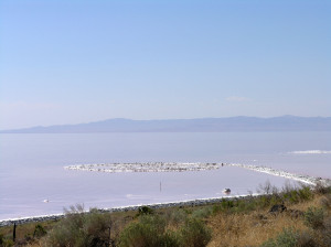 Spiral Jetty and landscape